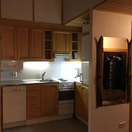ロッジ Holiday Home Kelorakka レヴィ